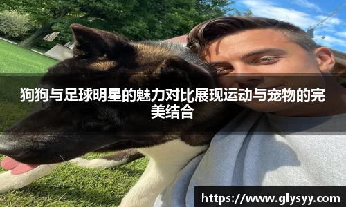 狗狗与足球明星的魅力对比展现运动与宠物的完美结合
