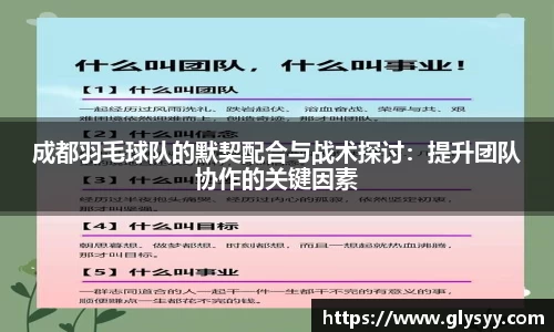 成都羽毛球队的默契配合与战术探讨：提升团队协作的关键因素
